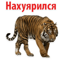 Молодёжный сленг