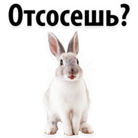 Молодёжный сленг