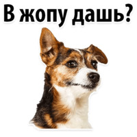 Молодёжный сленг