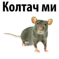 Молодёжный сленг