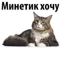 Молодёжный сленг