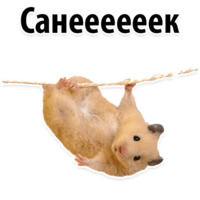 Молодёжный сленг