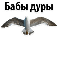 Молодёжный сленг