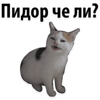Молодёжный сленг
