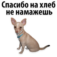 Молодёжный сленг
