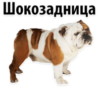 Молодёжный сленг