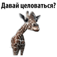 Молодёжный сленг