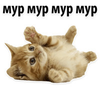 Молодёжный сленг