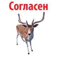 Молодёжный сленг