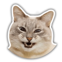 Кот Джаз