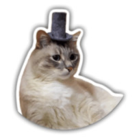 Кот Джаз