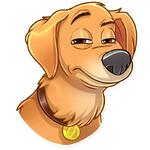 The Secret Life of Pets