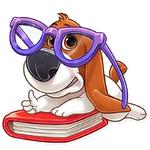 The Secret Life of Pets