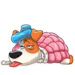 The Secret Life of Pets