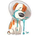 The Secret Life of Pets
