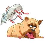 The Secret Life of Pets