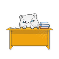Время котов
