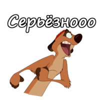 Тимон и Пумба