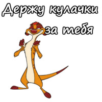 Тимон и Пумба