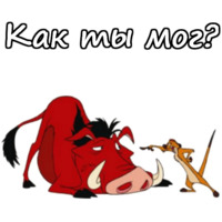 Тимон и Пумба
