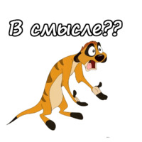 Тимон и Пумба