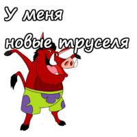 Тимон и Пумба