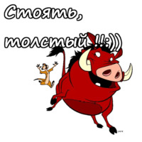 Тимон и Пумба