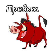 Тимон и Пумба