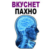 Усталый Мозг