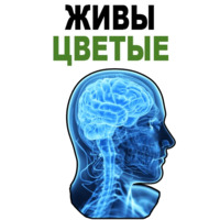 Усталый Мозг