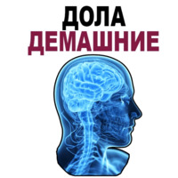 Усталый Мозг