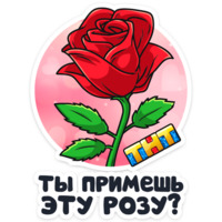 Телеканал ТНТ