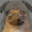 3DTO2D