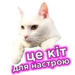 Телебачення Торонто