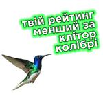 Телебачення Торонто