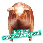 Телебачення Торонто