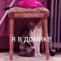Умер внутри себя