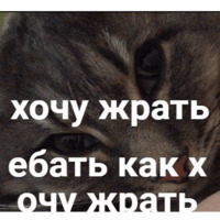 Умер внутри себя
