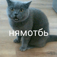 Умер внутри себя