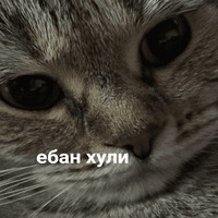 Умер внутри себя