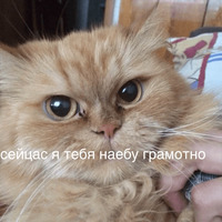 Умер внутри себя