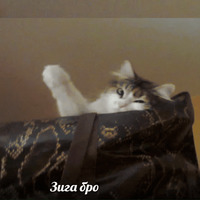 Умер внутри себя