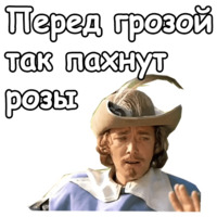 Три мушкетёра