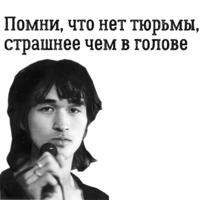 Цой жив!