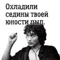 Цой жив!