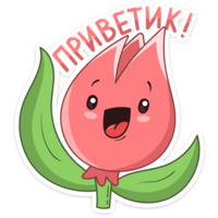 Тюльпанчик