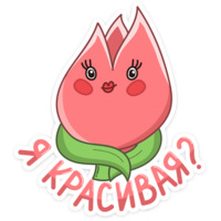 Тюльпанчик