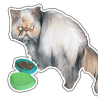 Кот Гошан