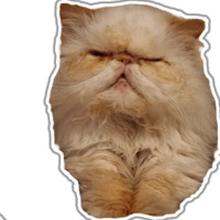 Кот Гошан