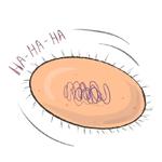 Unicellular stickers